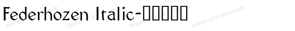 Federhozen Italic字体转换